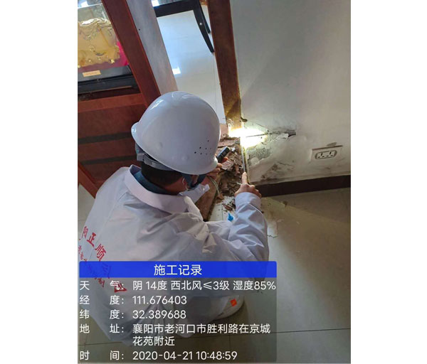 白蟻防治服務(wù)
