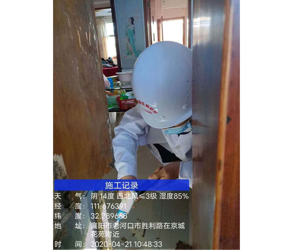 白蟻防治服務(wù)
