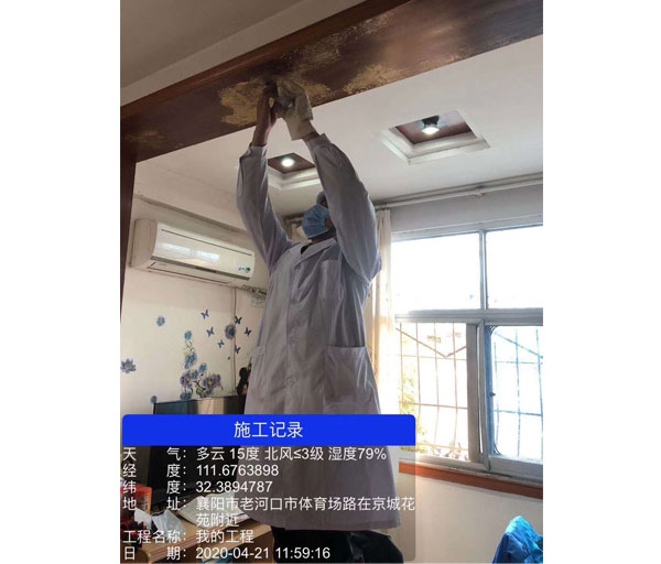 白蟻防治服務(wù)