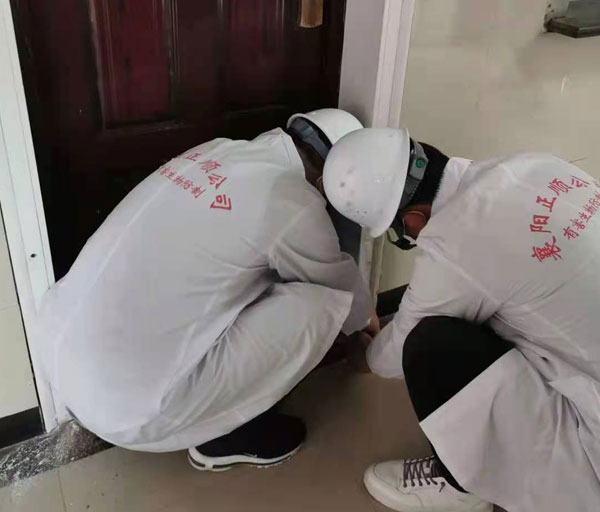 白蟻防治服務(wù)